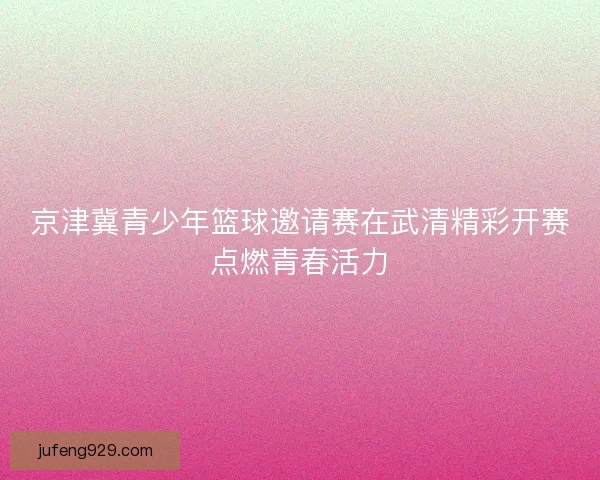 京津冀青少年篮球邀请赛在武清精彩开赛点燃青春活力